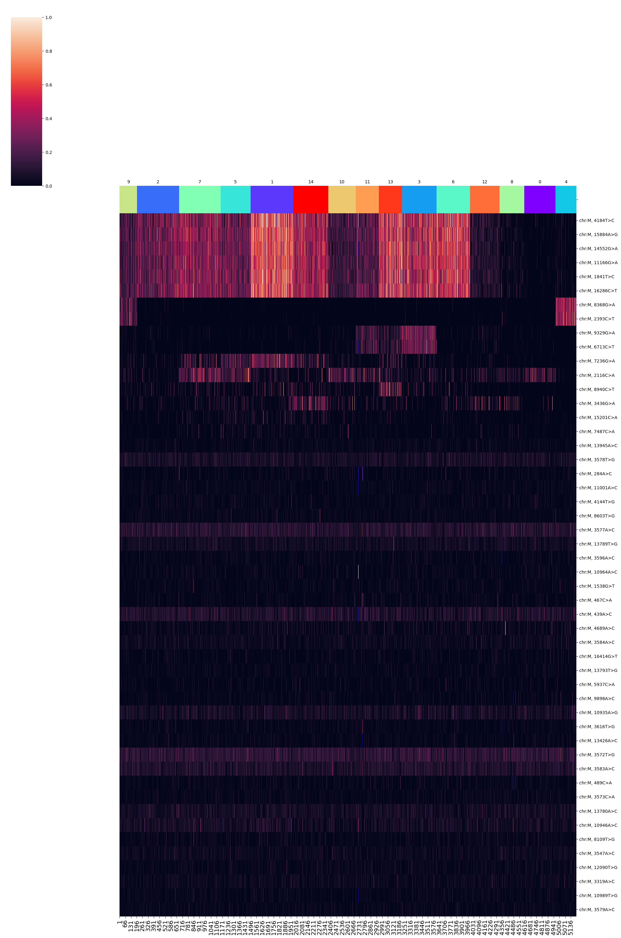 _images/SNPmanifold_demo_3_11.png
