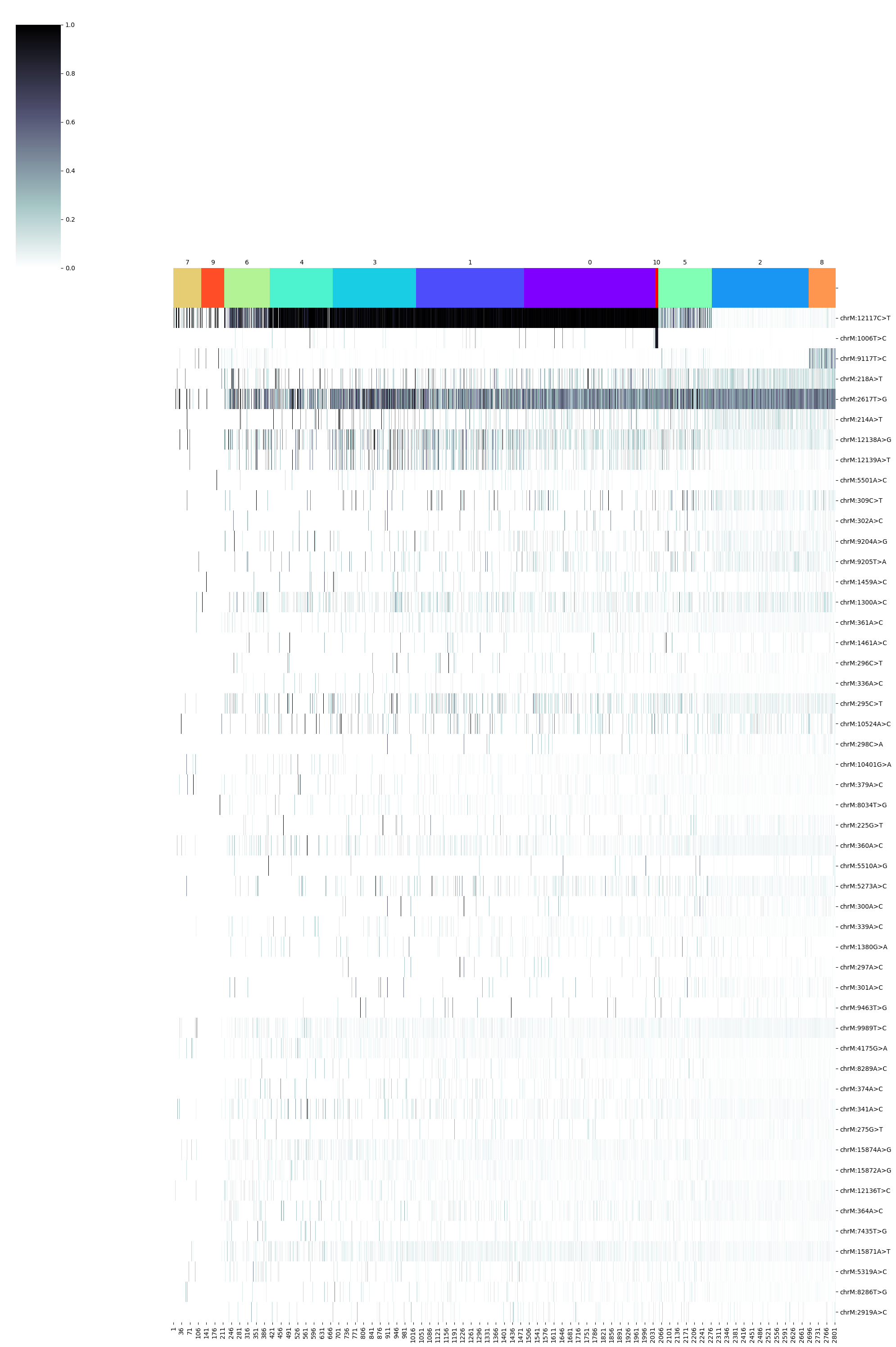 _images/SNPmanifold_demo_4_2.png