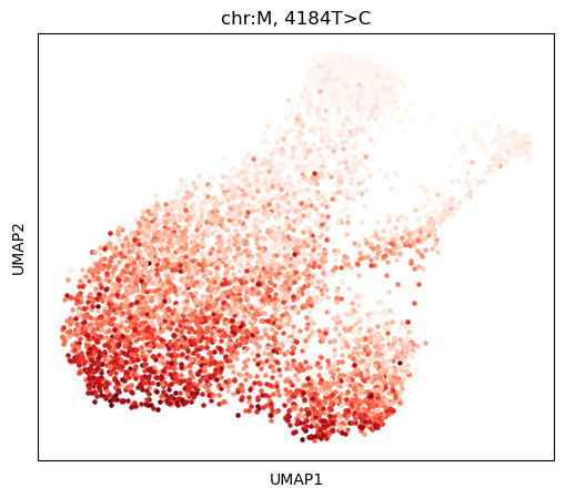 _images/SNPmanifold_demo_5_0.png