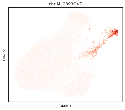 _images/SNPmanifold_demo_5_1.png