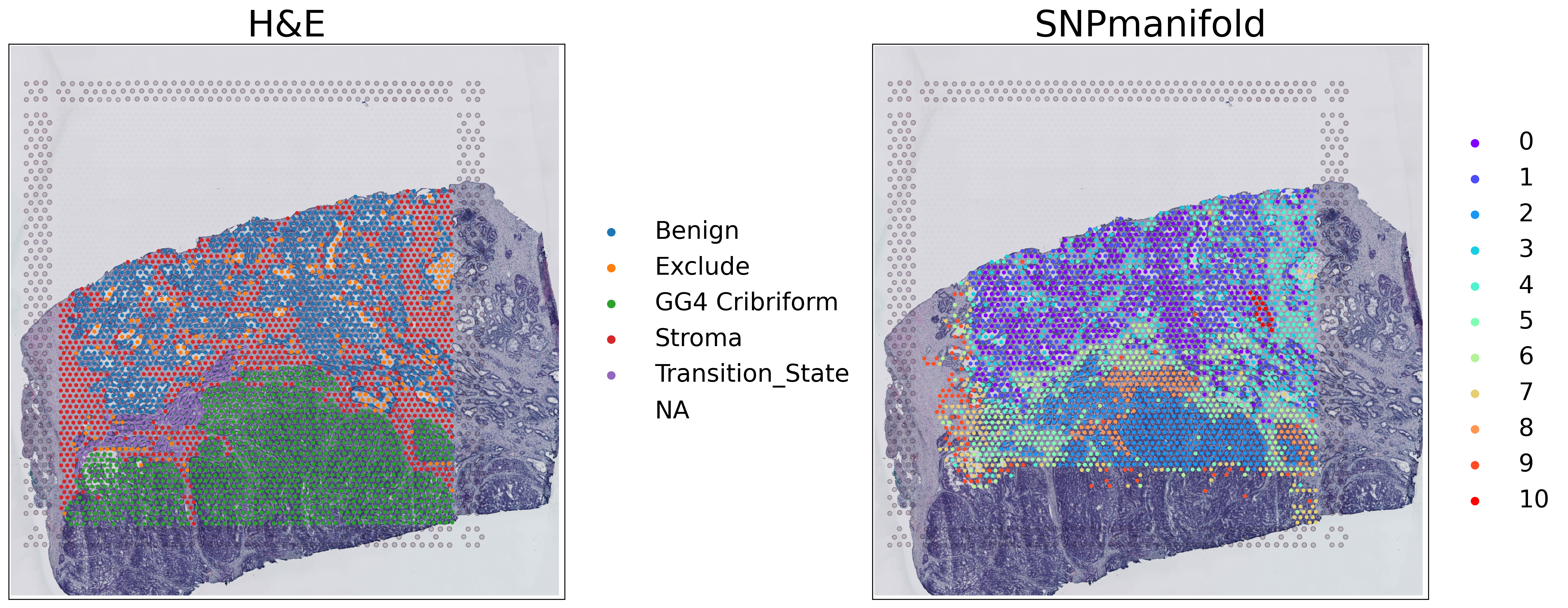 _images/SNPmanifold_demo_9_1.png